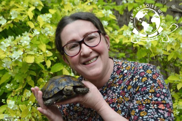 Co-Founder Natasha with Burmie Burmese Mountain Tortoise at Hever Tortoise World