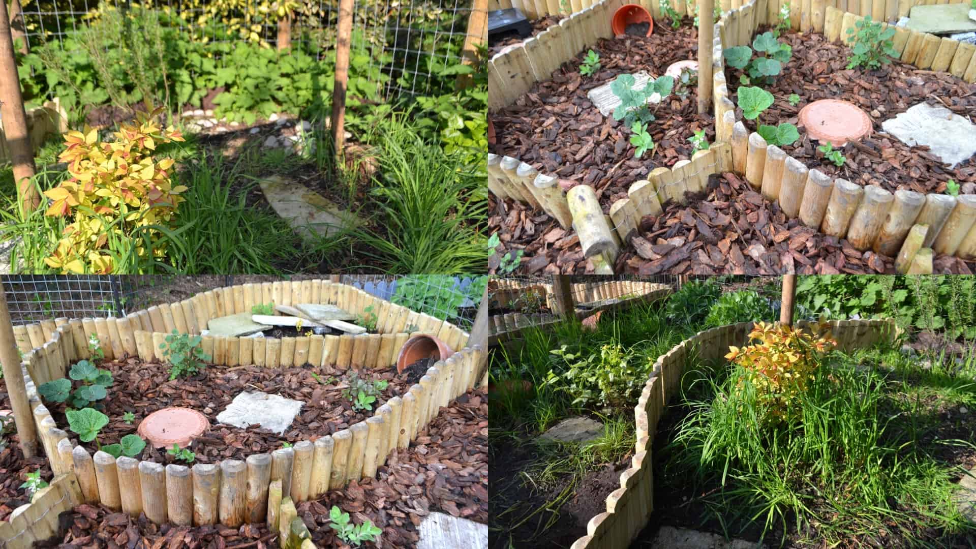 Natural outdoor tortoise enclosures at Hever Tortoise World