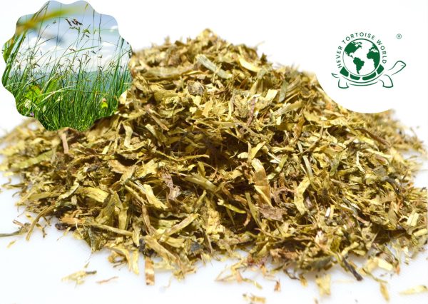 Buy Agrobs Pre Alpin Testudo Fibre for tortoises at Hever Tortoise World