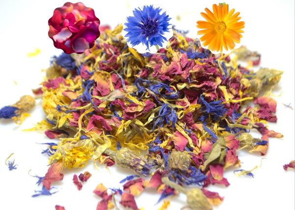 buy Baby Bliss dried flowers for baby/juvenile tortoises at Hever Tortoise World