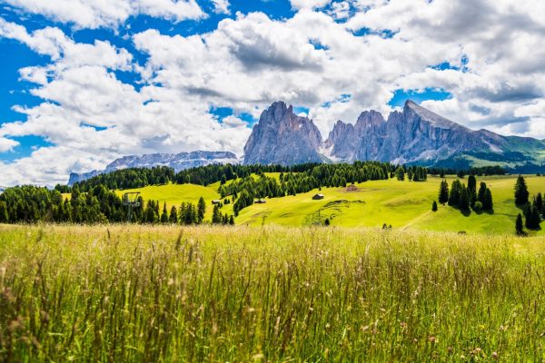 Pre Alpin Agrobs Testudo range of products for grass eating tortoises