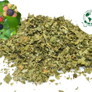 buy blackberry leaves for tortoises online at hever tortoise world