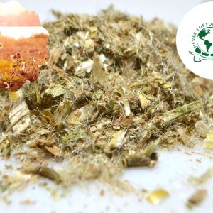 where to buy Blessed thistle leaf & herb for tortoises online