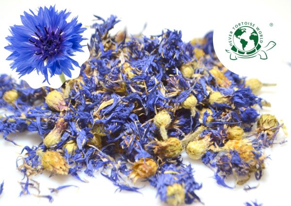 buy cornflowers for tortoises online at hever tortoise world