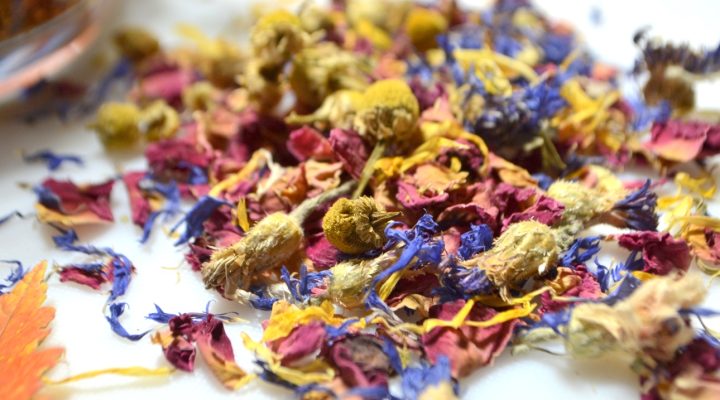 Buy Certified Organic Dried flowers, herbs and leaves for tortoises, bearded dragons, iguanas and uromastyx online at Hever Tortoise World