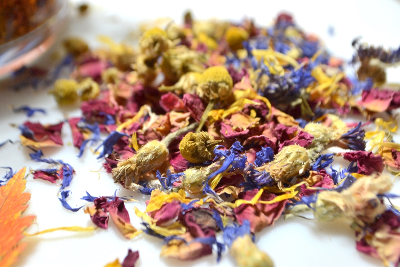 Buy Certified Organic Dried flowers, herbs and leaves for tortoises, bearded dragons, iguanas and uromastyx online at Hever Tortoise World