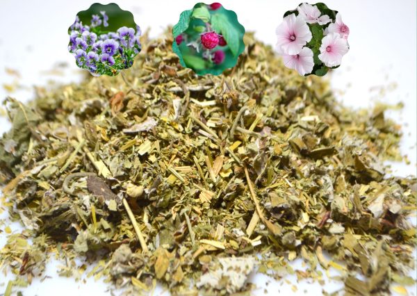 buy Forest Delight Forest Tortoise herbs online at Hever Tortoise World