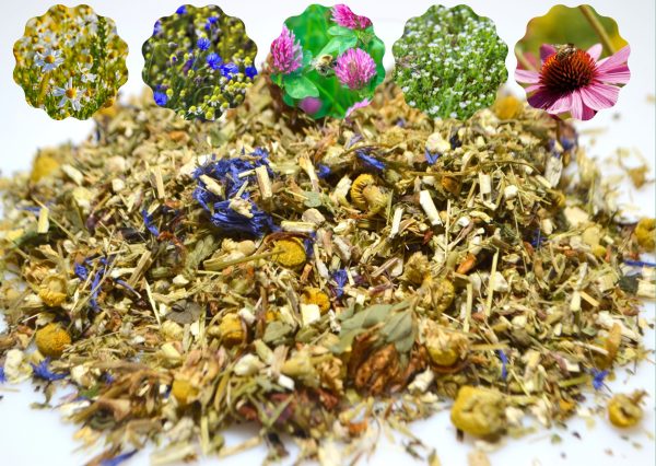 buy Herb and Flower Meadow Tortoise Dried Flowers and Herbs at Hever Tortoise World