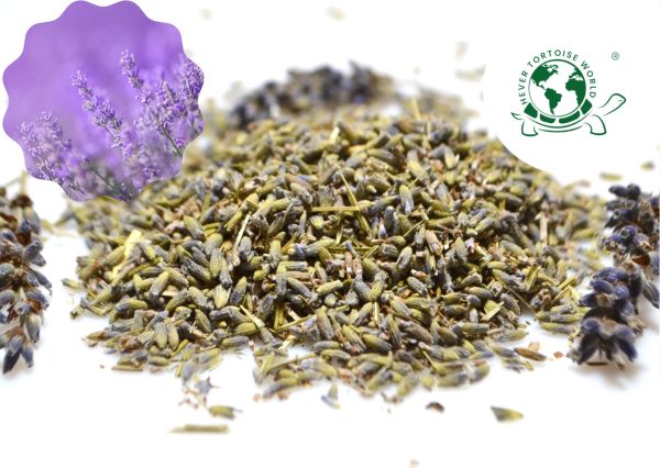 buy lavender flowers for tortoises online at hever tortoise world