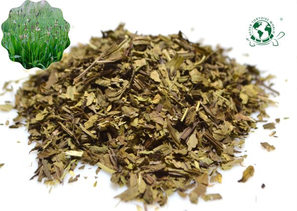 where to buy plantain leaves for tortoises