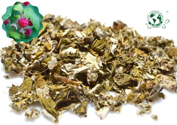 buy dried raspberry leaves for tortoises online