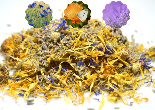 Sicilian Paradise dried flowers for Mediterranean tortoises buy Sicilian paradise dried flower mix for mediterranean tortoises