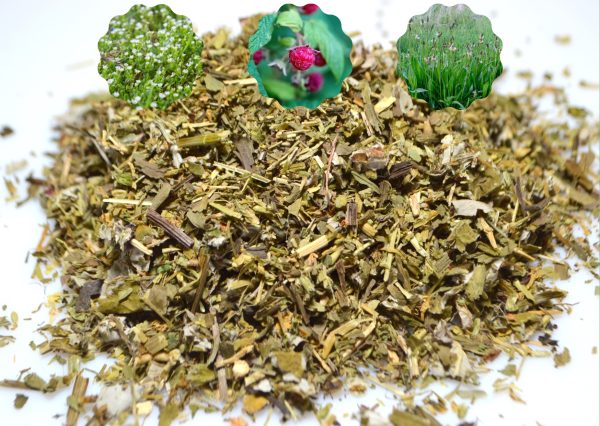 Super Greens herbs for baby/juvenile tortoises buy super greens herbs for baby/juvenile tortoises at hever tortoise world online shop