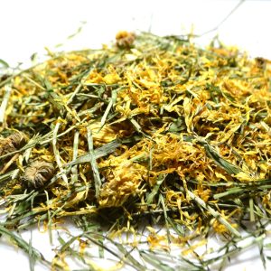 ReadiGrass Blend for tortoises, iguanas and bearded dragons to buy online