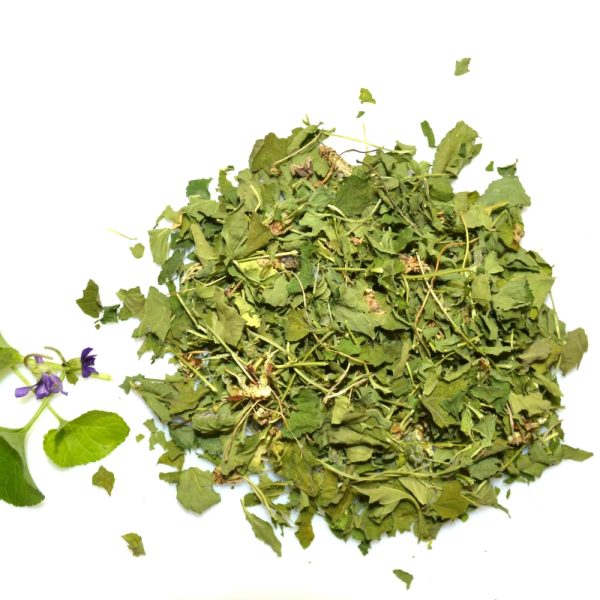 Organic Sweet Violet leaf and herb for tortoises and other herbivorous reptiles for sale