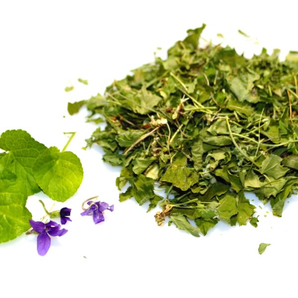 Certified Organic Dried Sweet Violet leaf and herb for tortoises