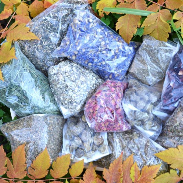 Hever Tortoise World Tortoise Food Hamper 13 items Christmas Edition buy online