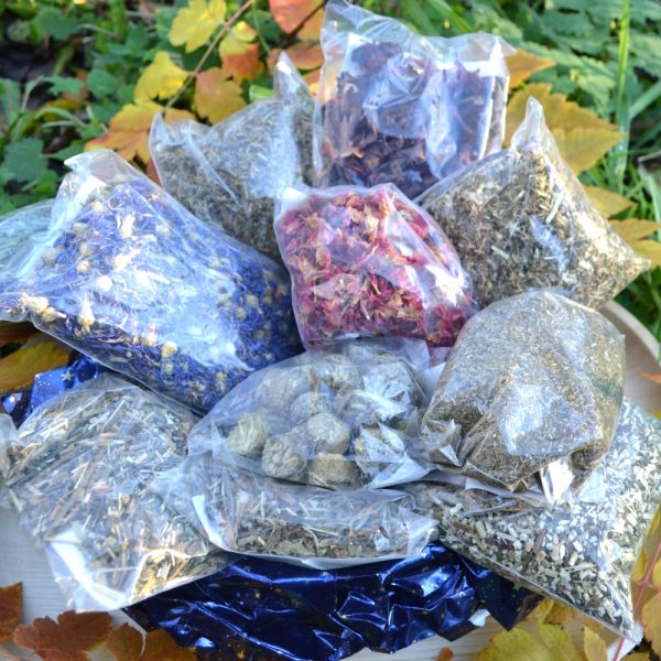 Buy Hever Tortoise World Tortoise Food Hamper 13 items Christmas Edition