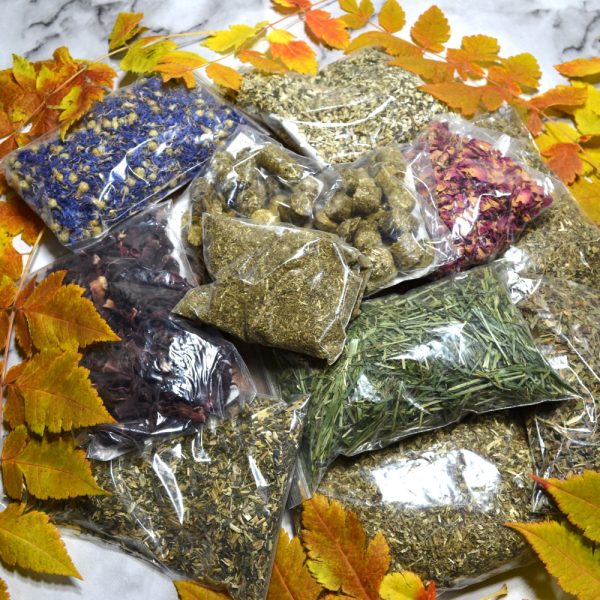 Hever Tortoise World Tortoise Food Hamper 13 items Christmas Edition