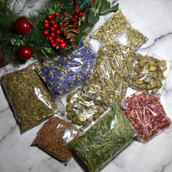 Hever Tortoise World Tortoise Food Hamper 9 items Christmas Edition