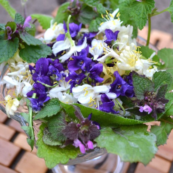 Bundle Pack of Fresh Weeds, Leaves and Flowers for Tortoises online