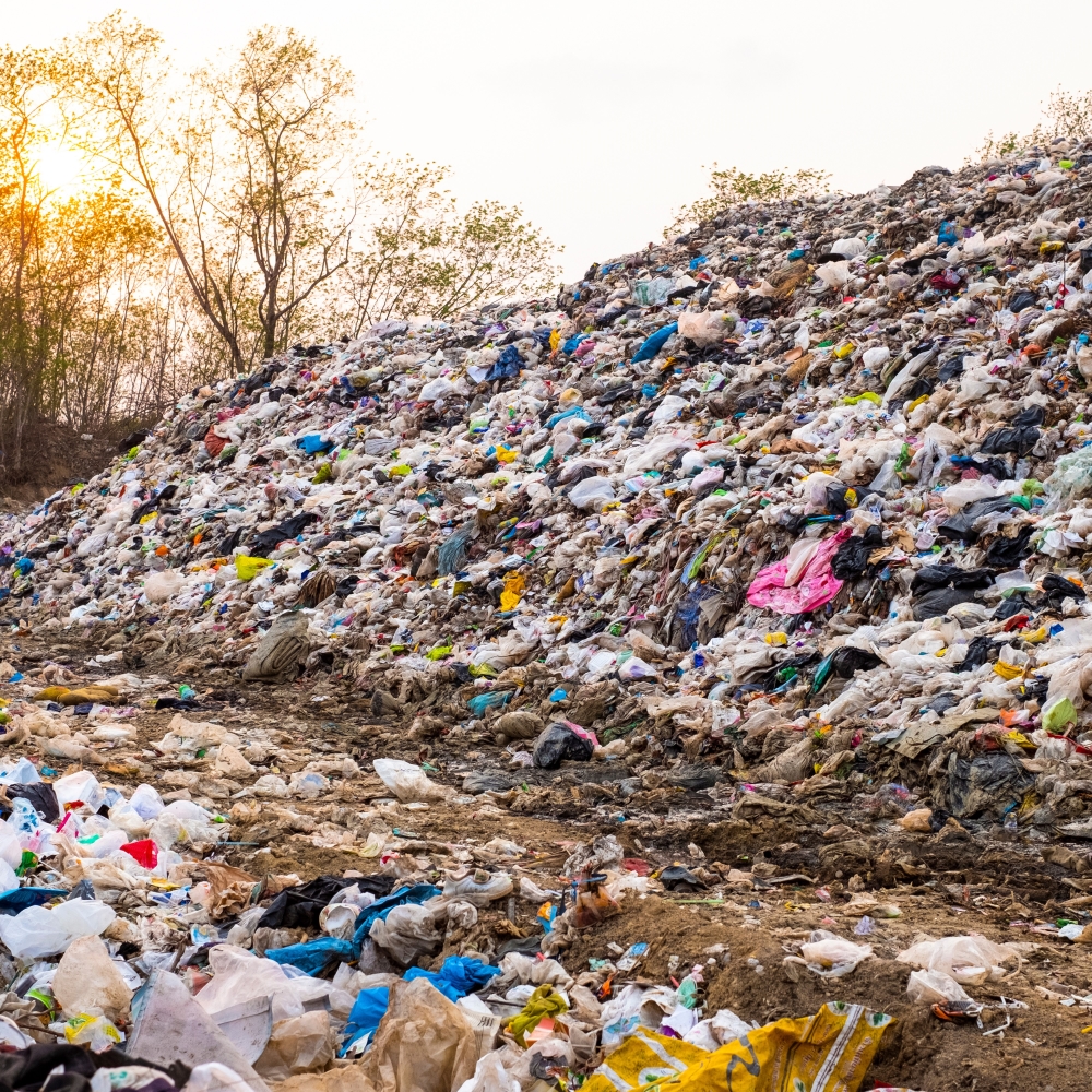 Plastic Pollution of our Planet