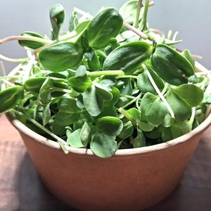 hever tortoise world super greens for tortoises and herbivorous reptiles without flowers